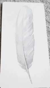 Divine Feather Messenger
